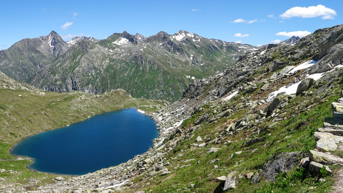 Escursione botanica - I fiori del San Gottardo: un patrimonio da scoprire