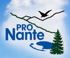 Festa della Madonna a Nante 