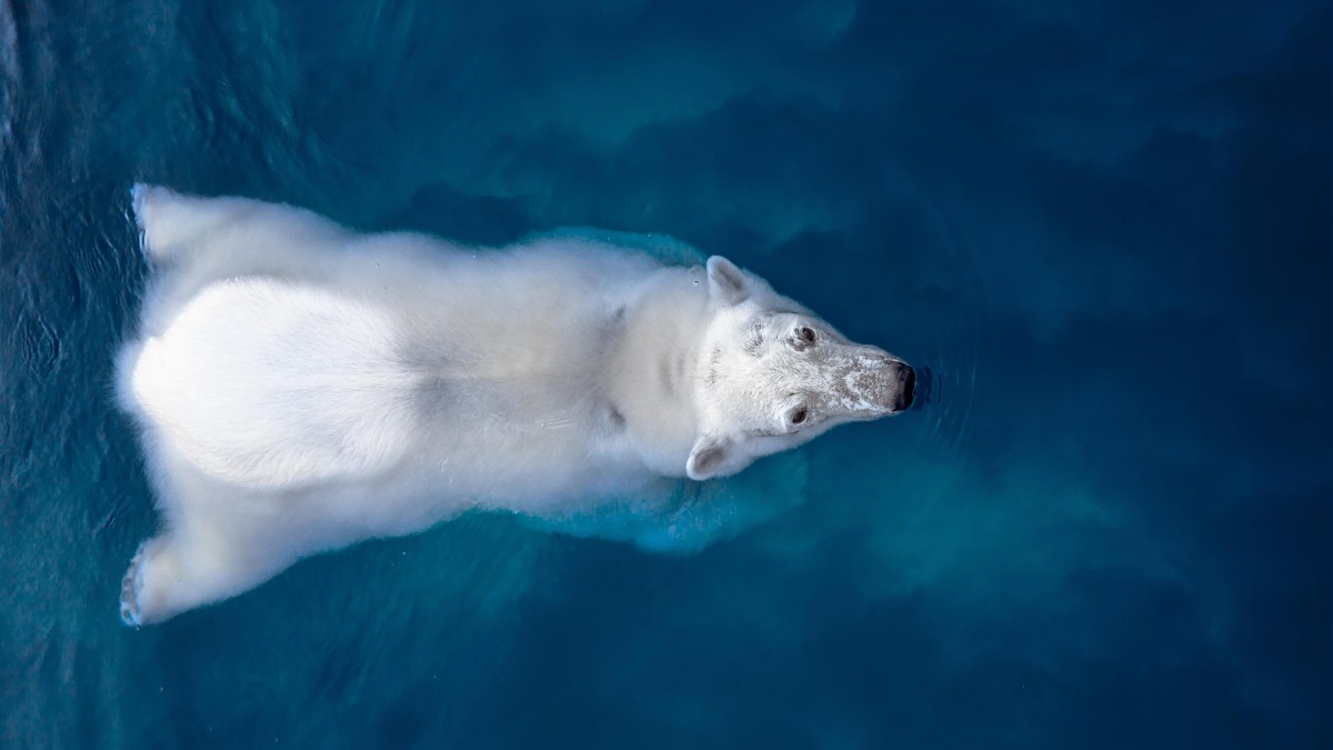 Il Respiro del Mondo. Monologo semiserio sul cambiamento climatico